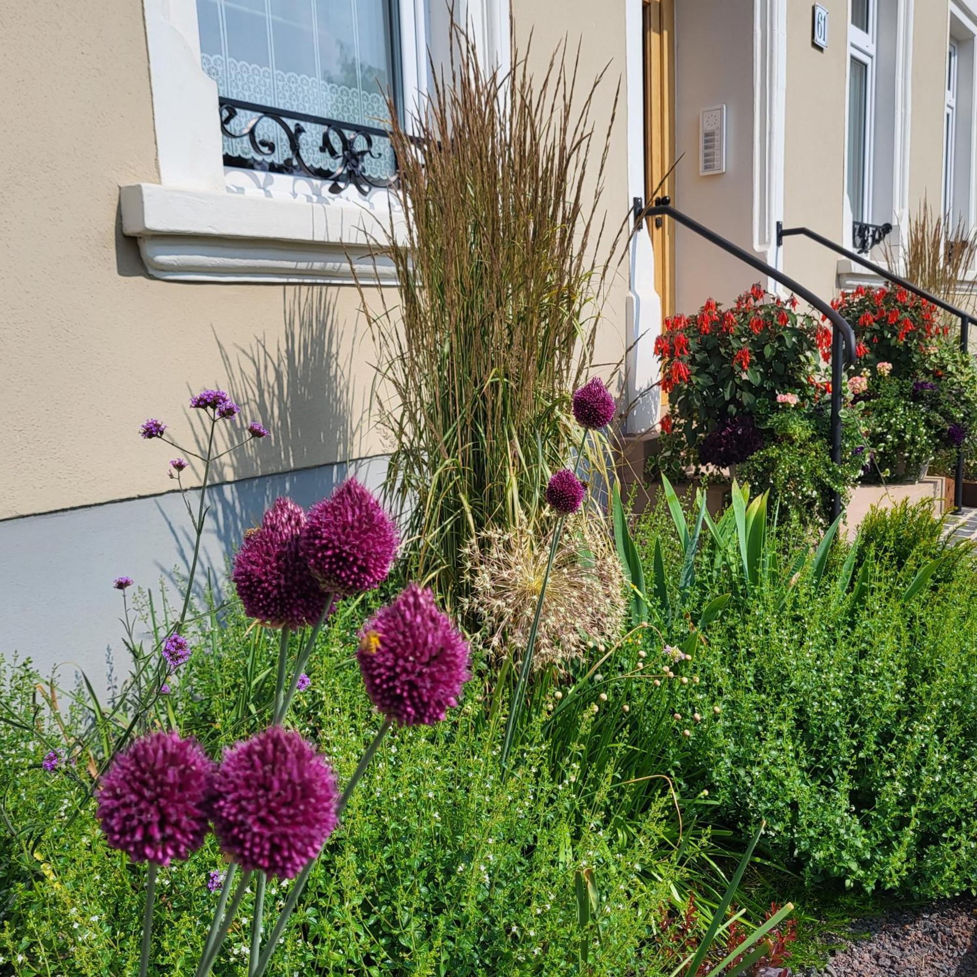 Komfort Ferienwohnungen Mit Wellness-Garten - Gaestehaus Am Bachlauf - Losheim Am See Exteriér fotografie